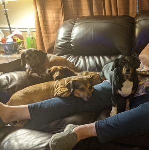 Meet your Posher, Martha